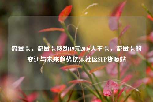 流量卡，流量卡移动19元200g大王卡	，流量卡的变迁与未来趋势亿乐社区SUP货源站  第1张