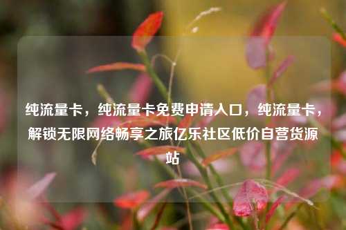 纯流量卡，纯流量卡免费申请入口	，纯流量卡，解锁无限网络畅享之旅亿乐社区低价自营货源站  第1张