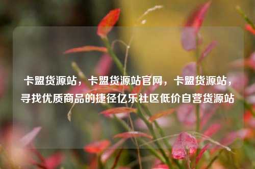 卡盟货源站	，卡盟货源站官网，卡盟货源站，寻找优质商品的捷径亿乐社区低价自营货源站  第1张