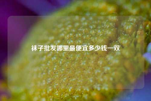 袜子批发哪里最便宜多少钱一双  第1张