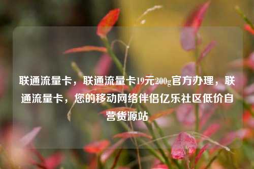 联通流量卡，联通流量卡19元200g官方办理，联通流量卡	，您的移动网络伴侣亿乐社区低价自营货源站  第1张