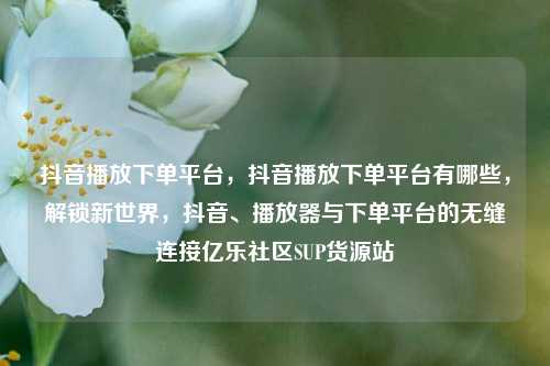 抖音播放下单平台，抖音播放下单平台有哪些	，解锁新世界，抖音、播放器与下单平台的无缝连接亿乐社区SUP货源站  第1张