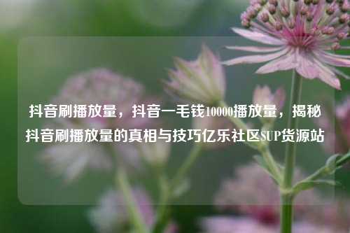 抖音刷播放量，抖音一毛钱10000播放量	，揭秘抖音刷播放量的真相与技巧亿乐社区SUP货源站  第1张