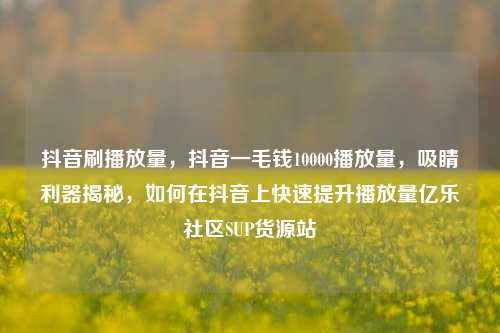 抖音刷播放量	，抖音一毛钱10000播放量，吸睛利器揭秘，如何在抖音上快速提升播放量亿乐社区SUP货源站  第1张