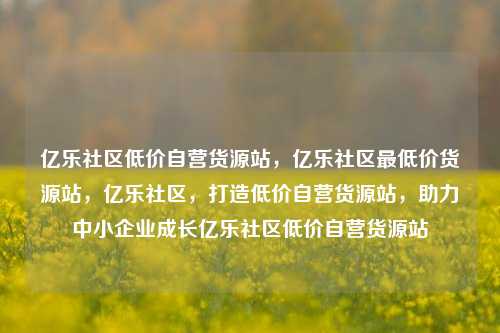 亿乐社区低价自营货源站	，亿乐社区最低价货源站，亿乐社区，打造低价自营货源站	，助力中小企业成长亿乐社区低价自营货源站  第1张