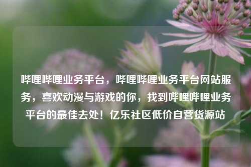 哔哩哔哩业务平台	，哔哩哔哩业务平台网站服务，喜欢动漫与游戏的你，找到哔哩哔哩业务平台的最佳去处！亿乐社区低价自营货源站  第1张