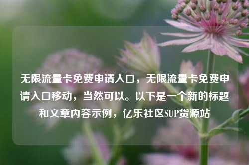 无限流量卡免费申请入口	，无限流量卡免费申请入口移动，当然可以。以下是一个新的标题和文章内容示例，亿乐社区SUP货源站  第1张