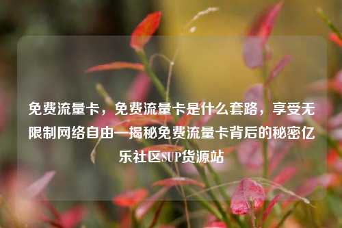 免费流量卡，免费流量卡是什么套路，享受无限制网络自由—揭秘免费流量卡背后的秘密亿乐社区SUP货源站  第1张