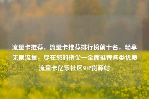 流量卡推荐，流量卡推荐排行榜前十名	，畅享无限流量，尽在您的指尖—全面推荐各类优质流量卡亿乐社区SUP货源站  第1张
