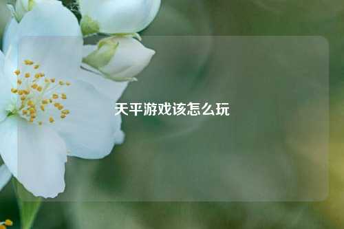 天平游戏该怎么玩  第1张