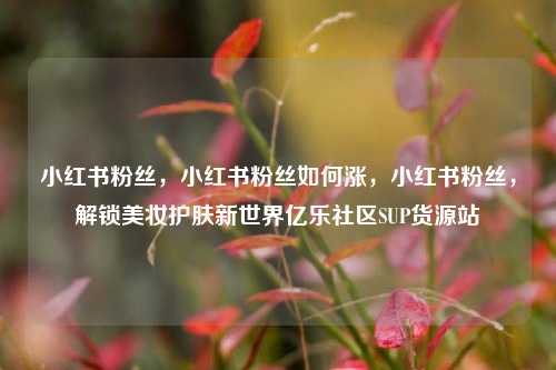 小红书粉丝，小红书粉丝如何涨	，小红书粉丝，解锁美妆护肤新世界亿乐社区SUP货源站  第1张