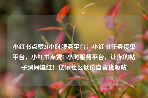 小红书点赞24小时服务平台，小红书任务接单平台，小红书点赞24小时服务平台，让你的帖子瞬间爆红！亿乐社区低价自营货源站  第1张