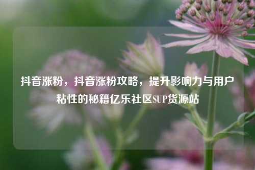 抖音涨粉，抖音涨粉攻略	，提升影响力与用户粘性的秘籍亿乐社区SUP货源站  第1张