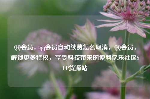 QQ会员	，qq会员自动续费怎么取消，QQ会员，解锁更多特权	，享受科技带来的便利亿乐社区SUP货源站  第1张