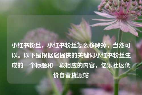 小红书粉丝	，小红书粉丝怎么移除掉，当然可以。以下是根据您提供的关键词小红书粉丝生成的一个标题和一段相应的内容，亿乐社区低价自营货源站  第1张