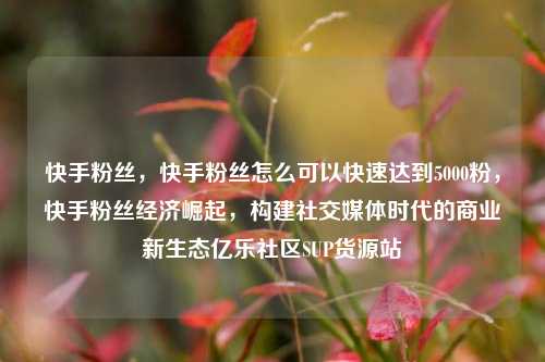 快手粉丝	，快手粉丝怎么可以快速达到5000粉，快手粉丝经济崛起，构建社交媒体时代的商业新生态亿乐社区SUP货源站  第1张
